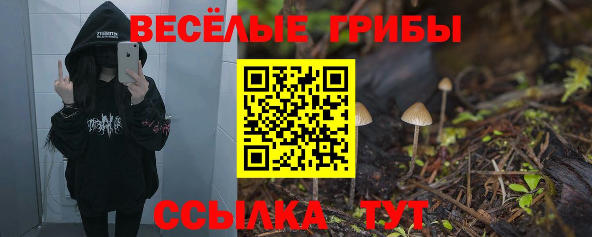 Шали  Псилоцибиновые грибы Psilocybe  Вход с VPN 