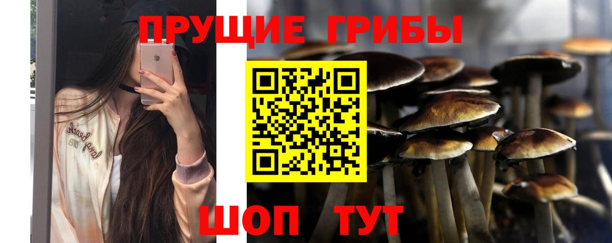 Псилоцибиновые грибы GOLDEN TEACHER Шали