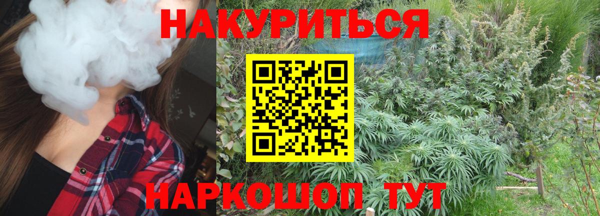 Канабис планчик  Марихуана SATIVA & INDICA  Марихуана гибрид  Канабис сатива  Вход с VPN  Шали 